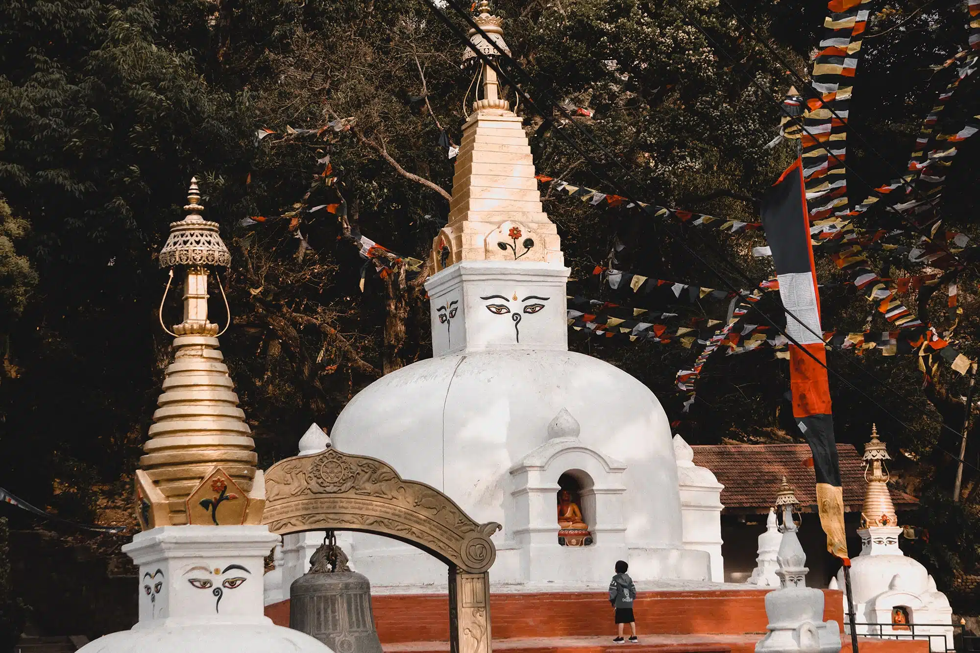 Swayambhu 1