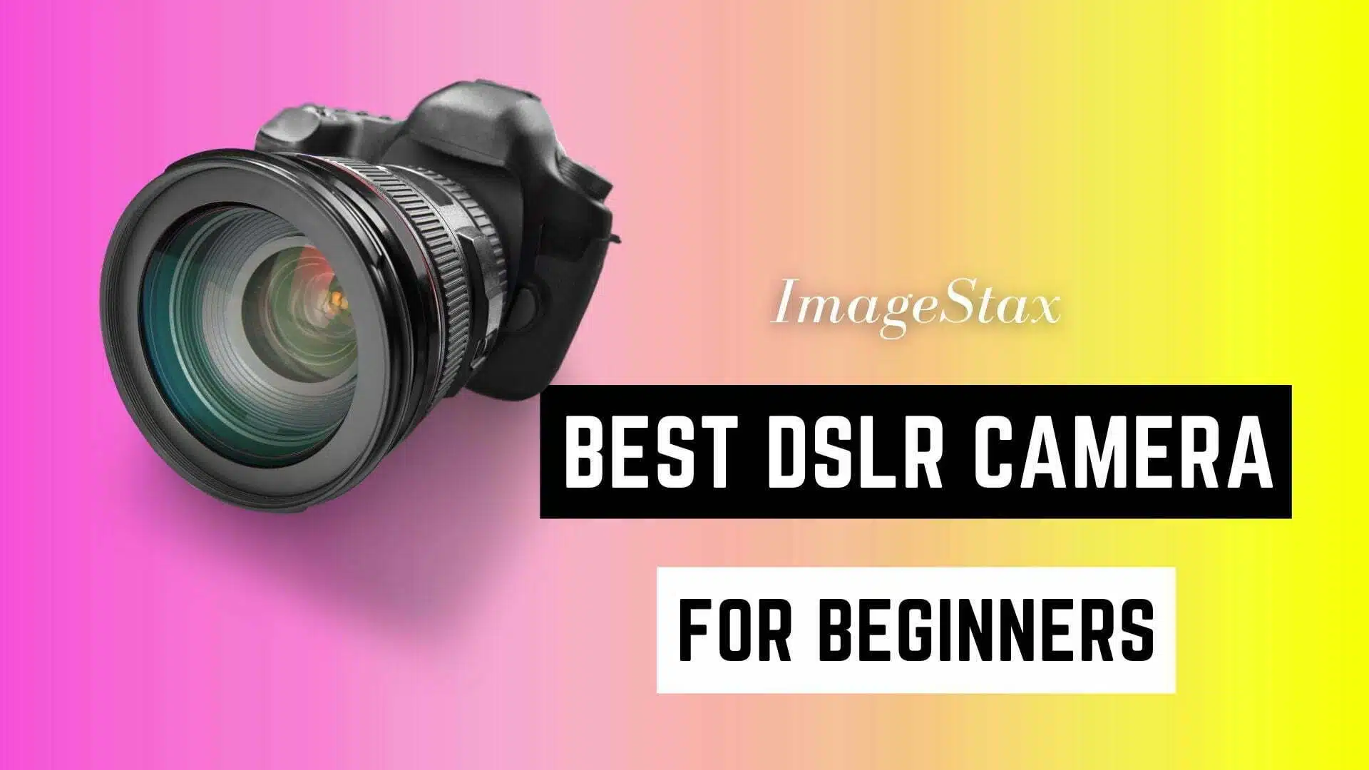 best dslr camera for beginners